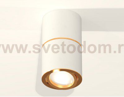 Комплект накладного поворотного светильника Ambrella XS7401200 XS