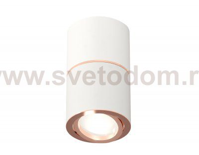 Комплект накладного поворотного светильника Ambrella XS7401220 XS