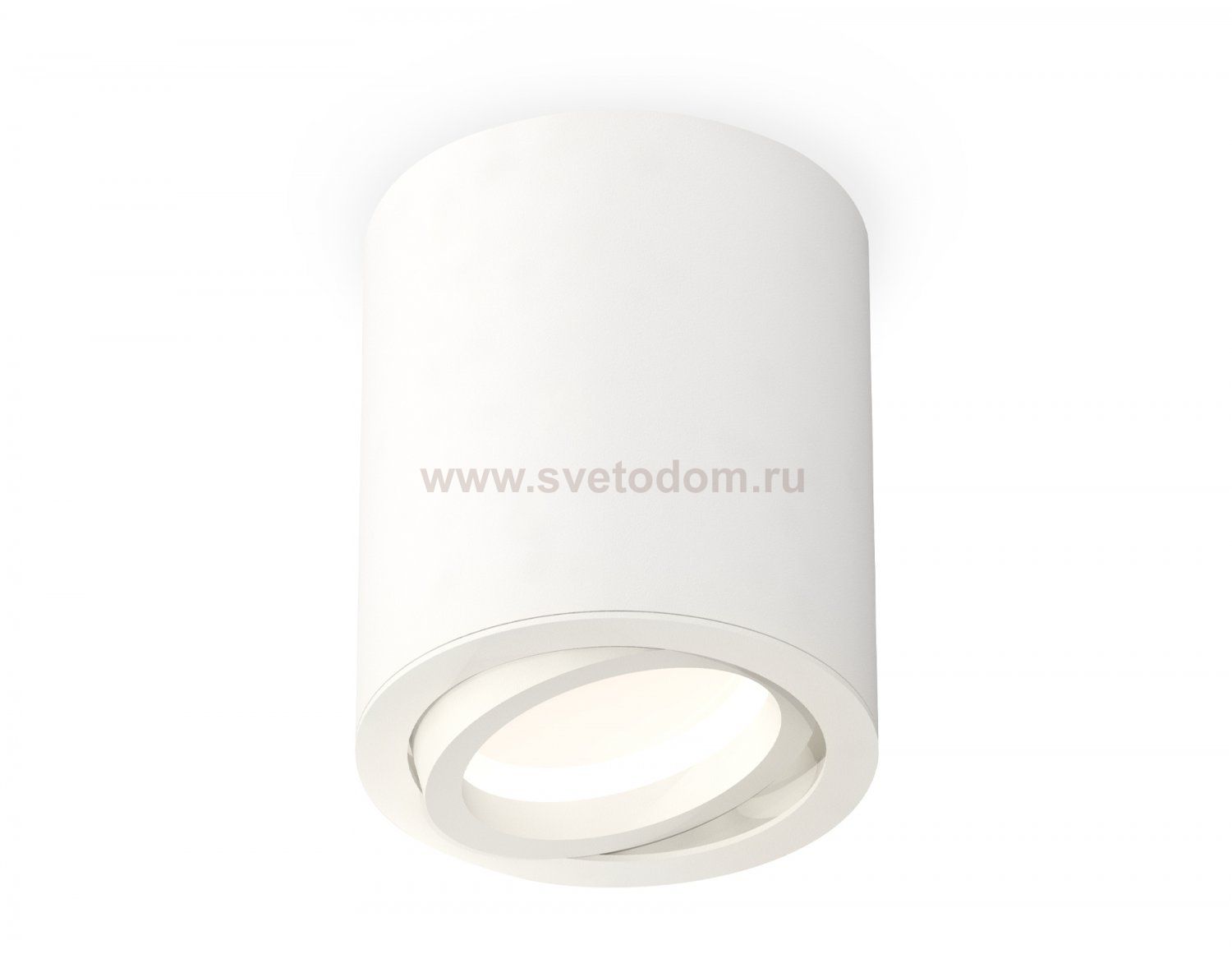 Комплект накладного поворотного светильника Ambrella XS7421001 XS