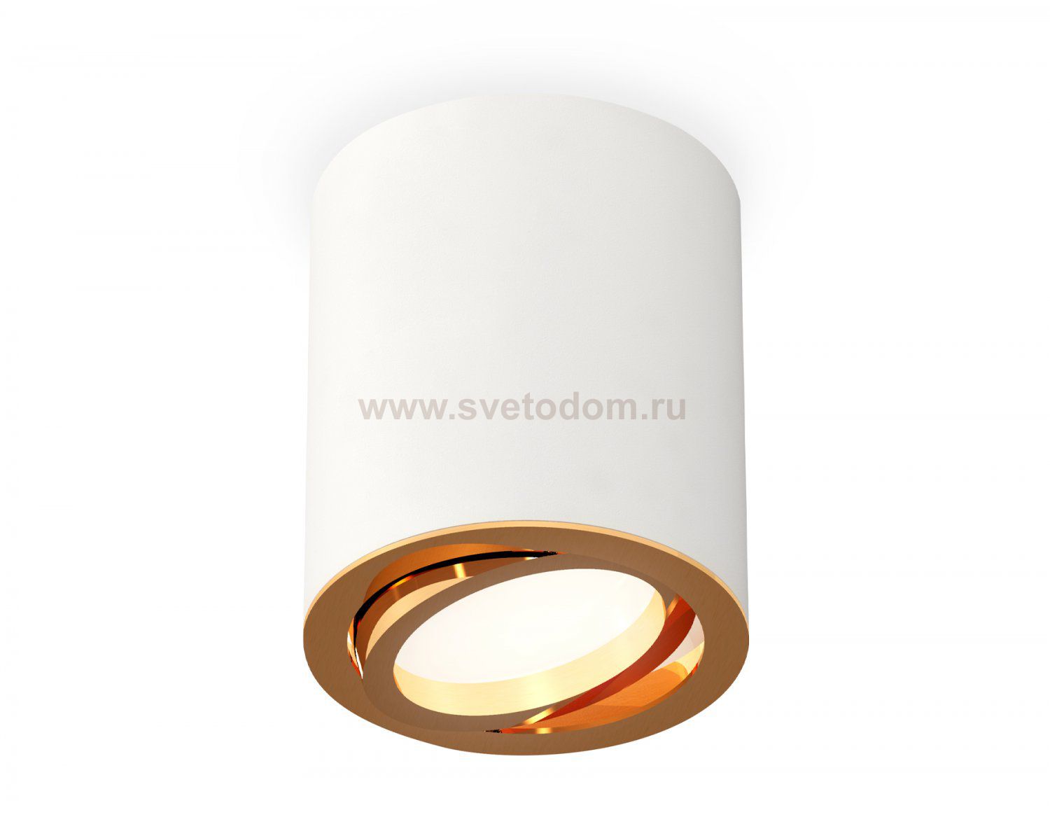 Комплект накладного поворотного светильника Ambrella XS7421003 XS