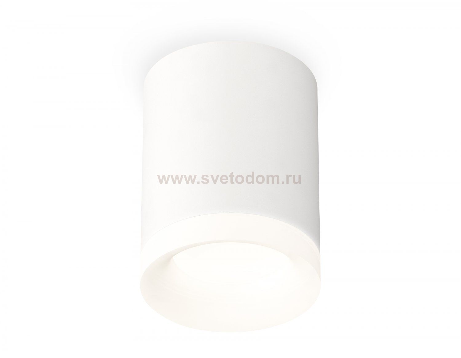 Комплект накладного светильника с акрилом Ambrella XS7421024 XS