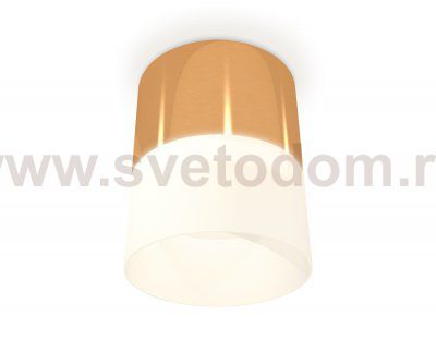 Комплект накладного светильника с акрилом Ambrella XS8121011 XS