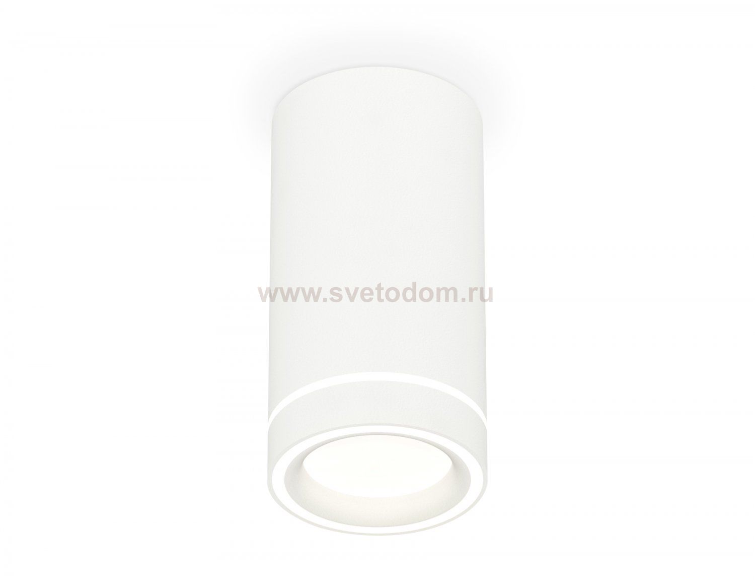 Комплект накладного светильника с акрилом Ambrella XS8161004 XS