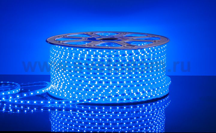 Светодиодная лента Elektrostandard 3528/60 LED 4.4W 220V IP65 синий свет