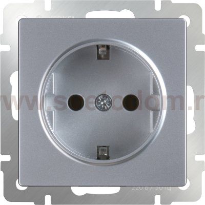 Розетка с заземлением (серебряный) Werkel WL06-SKG-01-IP20
