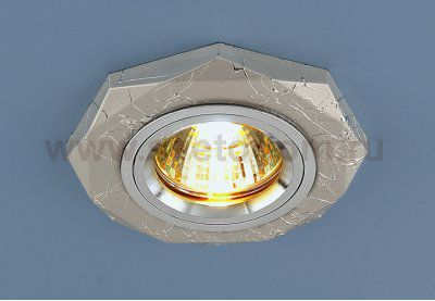 Точечный светильник поворотный Elektrostandard 2040 SL (серебро)