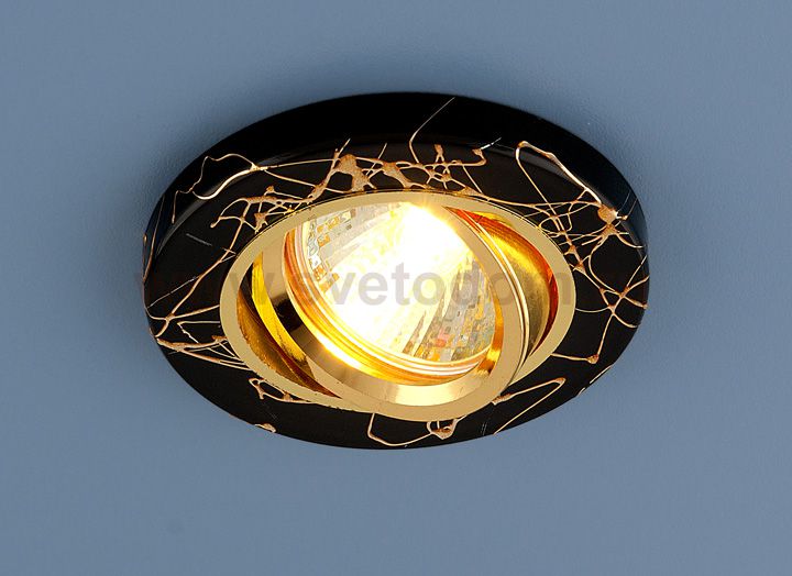 Светильник Elektrostandard 2050 BK-GD черный/золото 