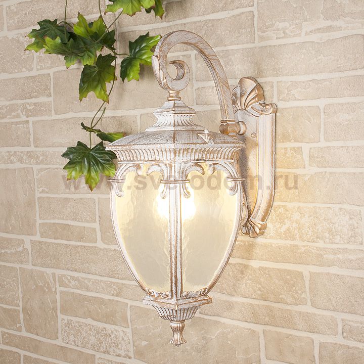 Andromeda D белое золото уличный настенный светильник GLYF-8024D Elektrostandard