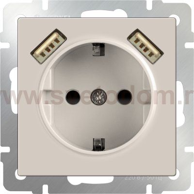Розетка с заземлением, шторками и USBх2 (слоновая кость) WL03-SKGS-USBx2-IP20 Werkel