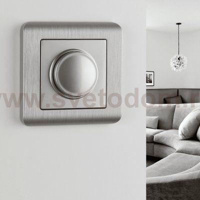 Рамка на 1 пост (серебряный) Werkel WL12-Frame-01