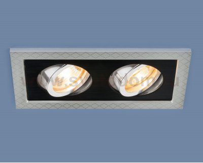 Точечный светильник с поворотным механизмом Elektrostandard 1041/2 MR16 SL/BK серебро/черный