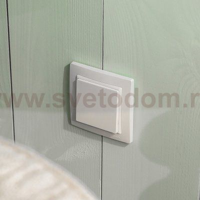 Рамка на 1 пост (белый, basic) Werkel WL03-Frame-01