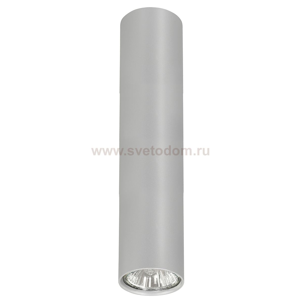 Накладной точечный светильник Elektrostandard 5465 SL серебро Nowodvorski