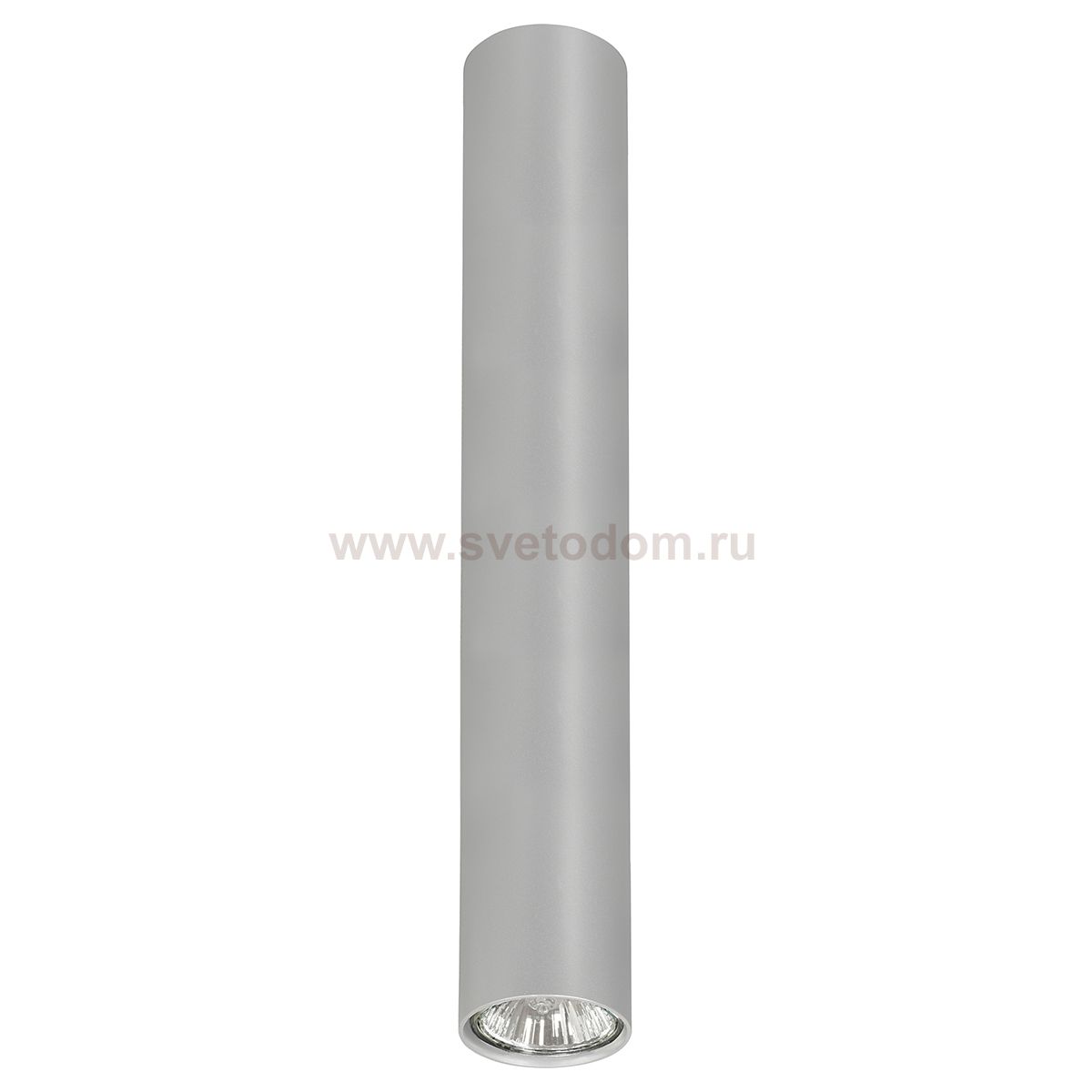 Накладной точечный светильник Elektrostandard 5473 SL серебро Nowodvorski