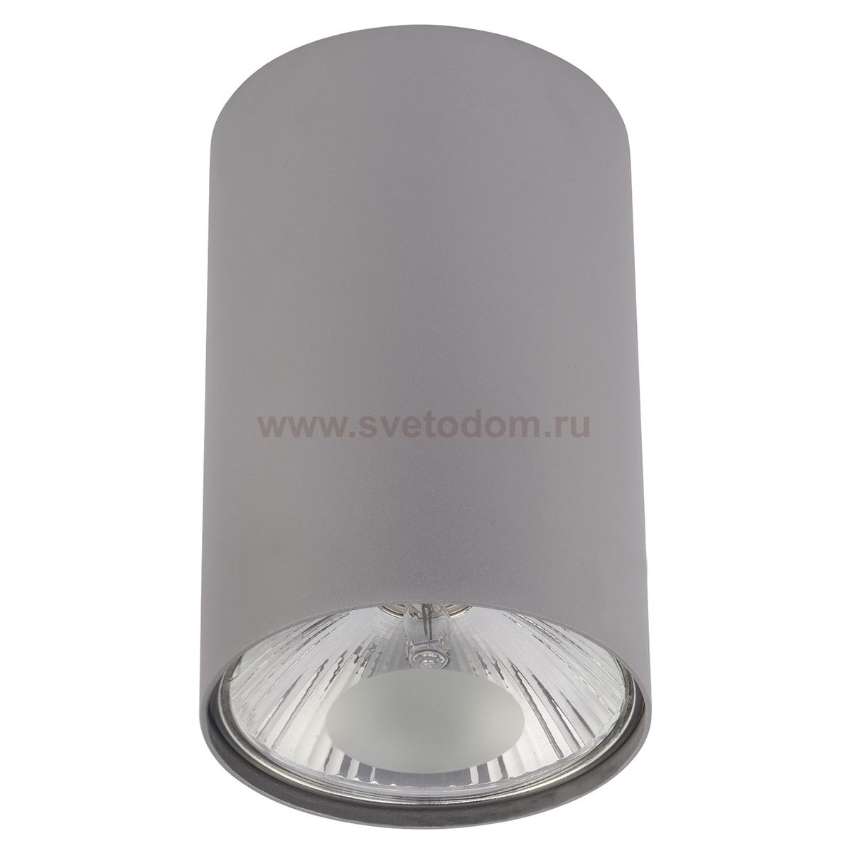 Накладной точечный светильник Elektrostandard 6877 SL серебро Nowodvorski