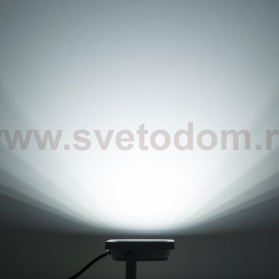 Прожектор 006 FL LED 50W 6500K IP65 Elektrostandard