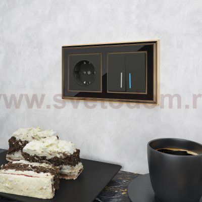 Рамка на 2 поста (золото/черный) WL17-Frame-02 Werkel