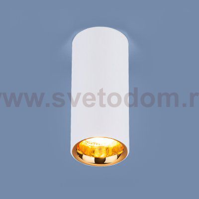 Накладной акцентный светодиодный светильник DLR030 12W 4200K белый матовый/золото Elektrostandard