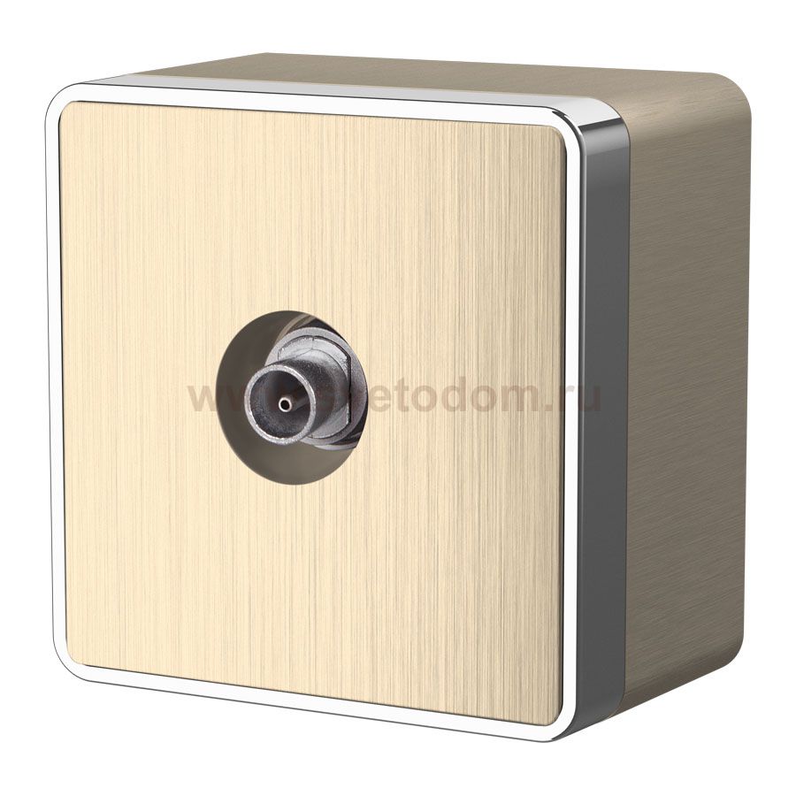 ТВ-розетка оконечная  Gallant (шампань рифленый) Werkel WL15-21-01