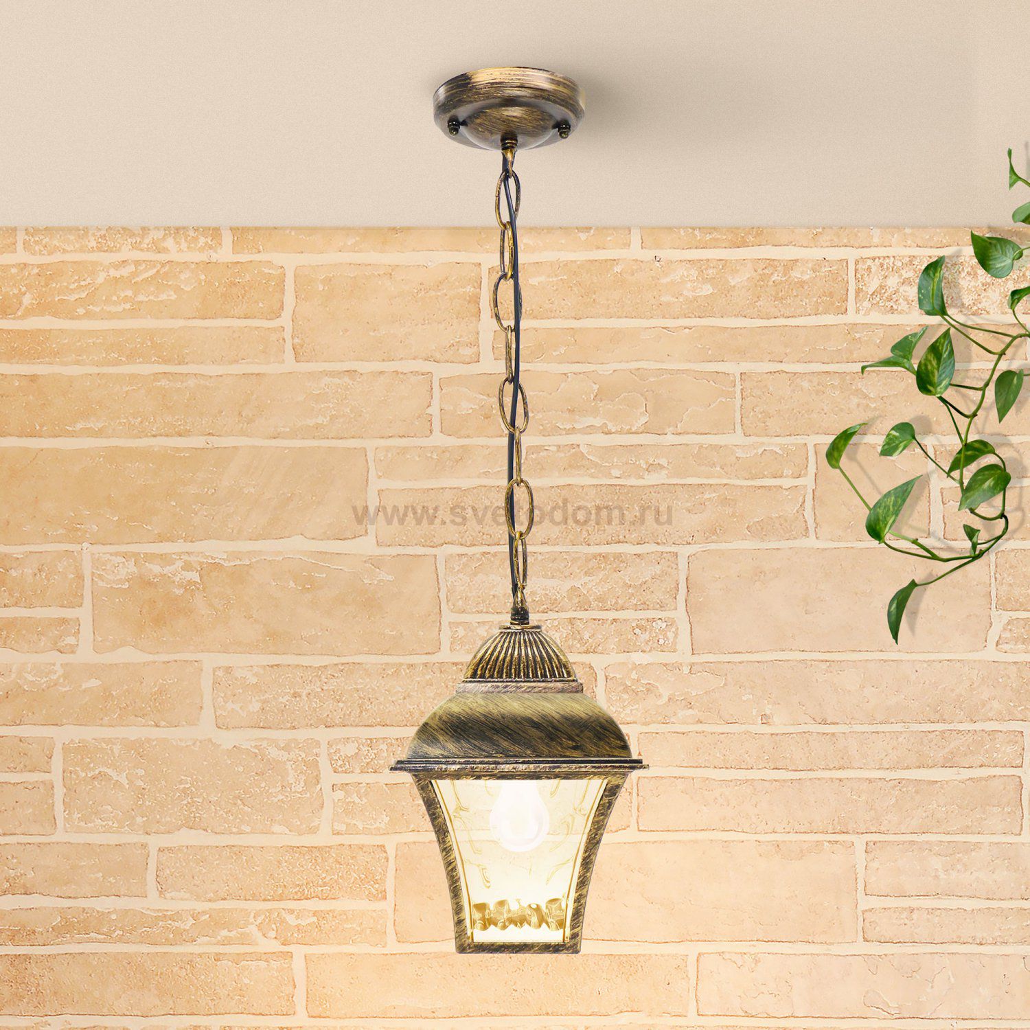 Apus H черное золото уличный подвесной светильник IP33 GL 1009H Elektrostandard