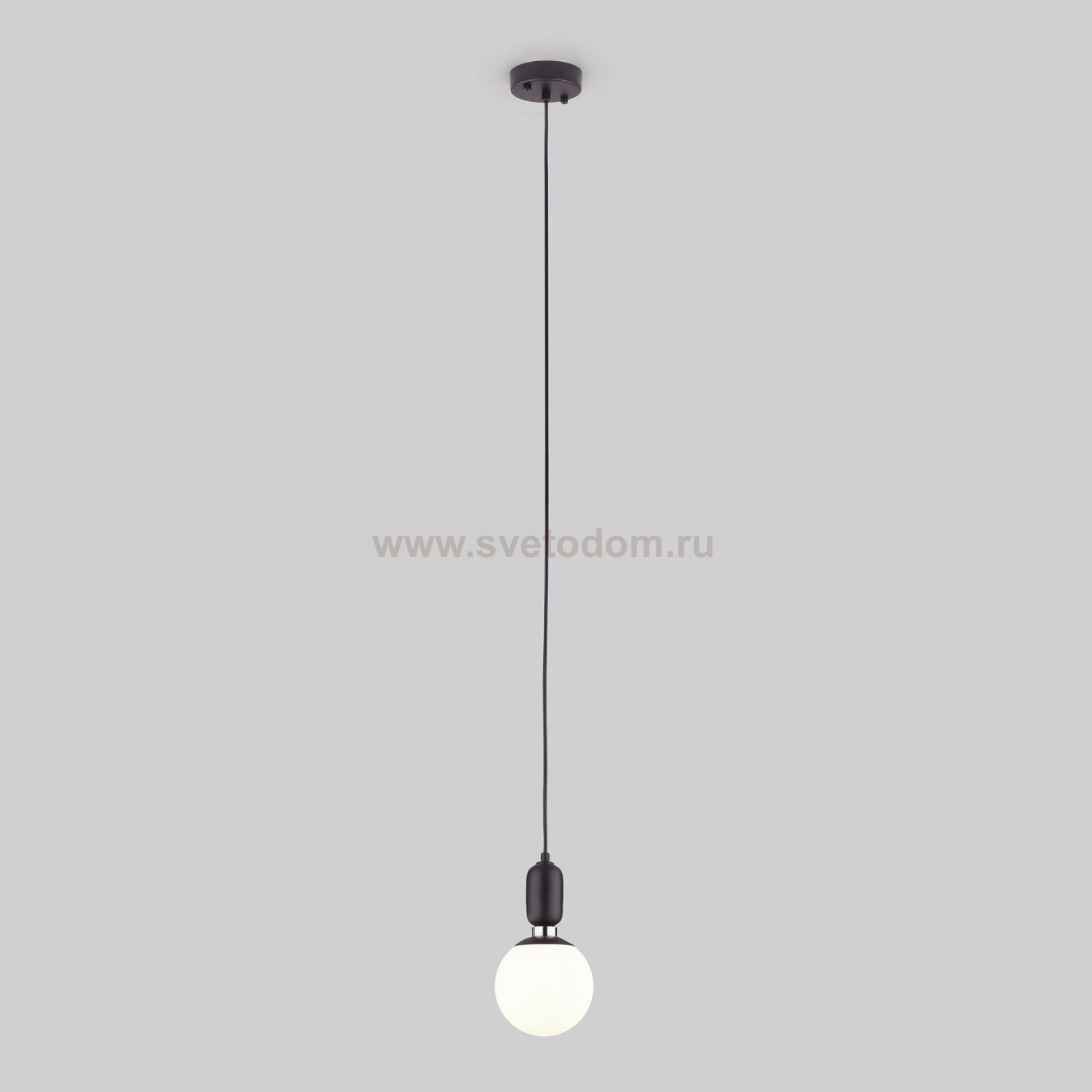 Светильник Eurosvet 50158/1 черный