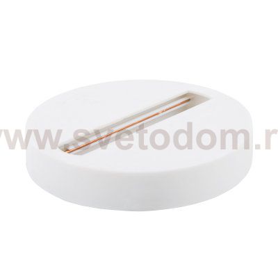 Шинопровод однофазный TRL-2-1-100-WH / Однофазный шинопровод-адаптер белый Elektrostandard