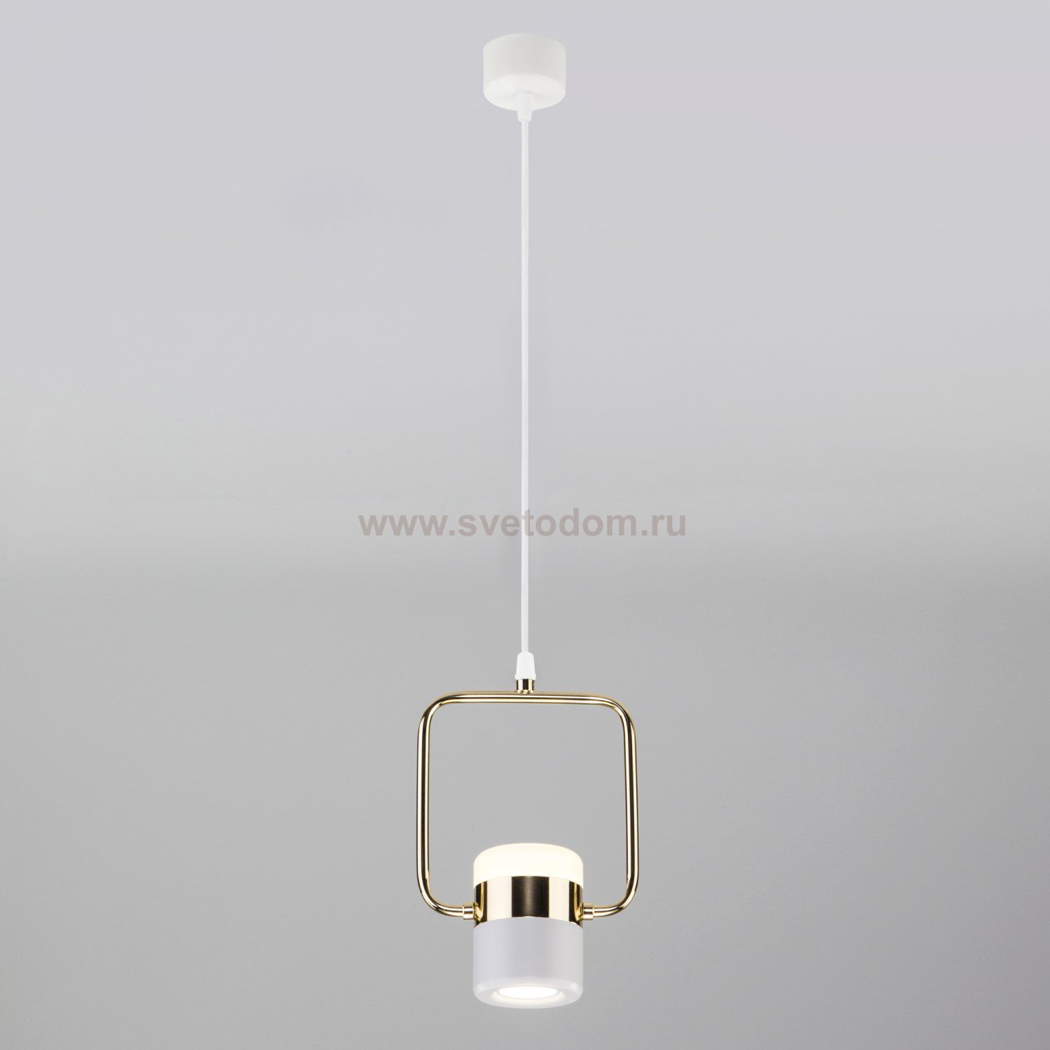 Светильник Eurosvet 50165/1 LED золото/белый 9W