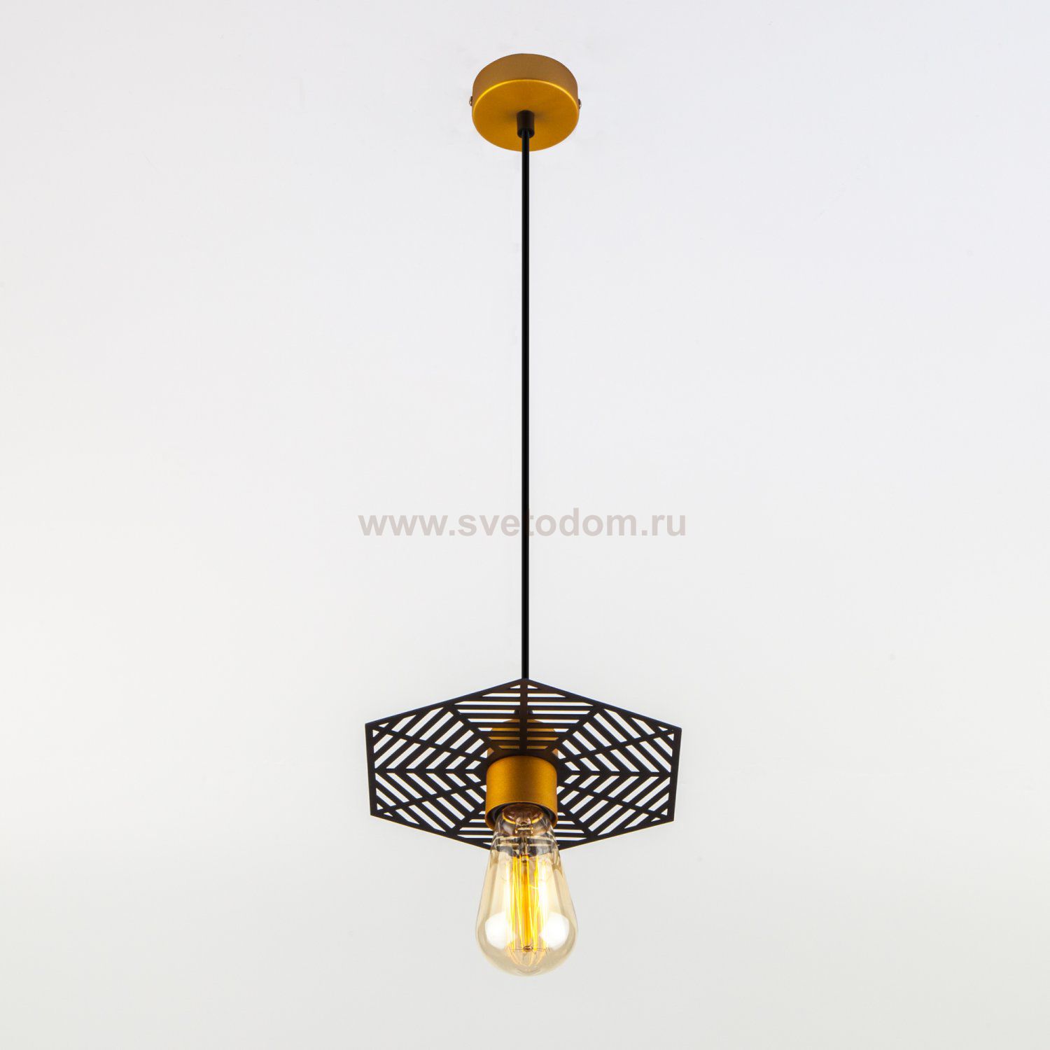 Светильник Eurosvet 50167/1 бронза/черный