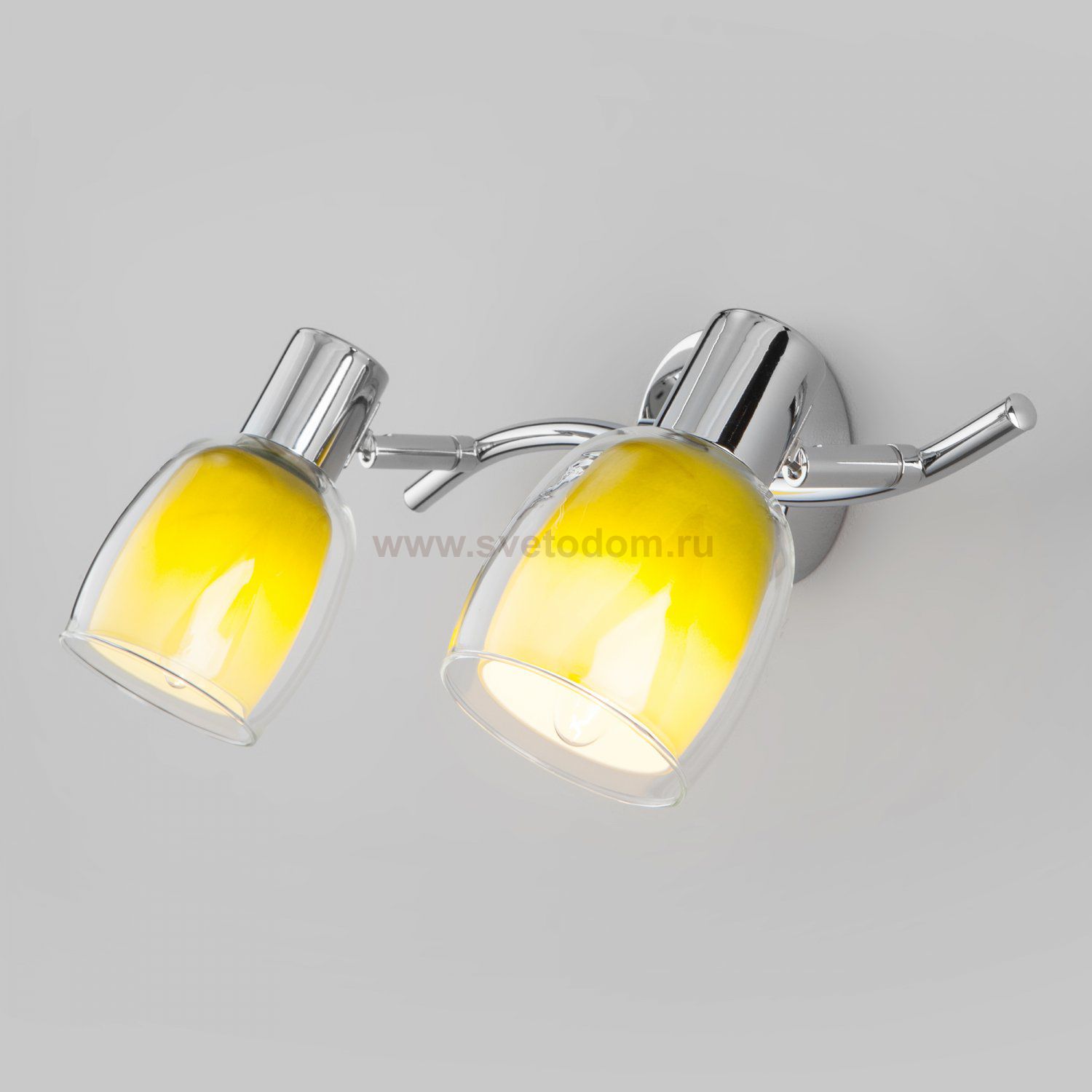 Настенный светильник Eurosvet 20119/2 Potpourri