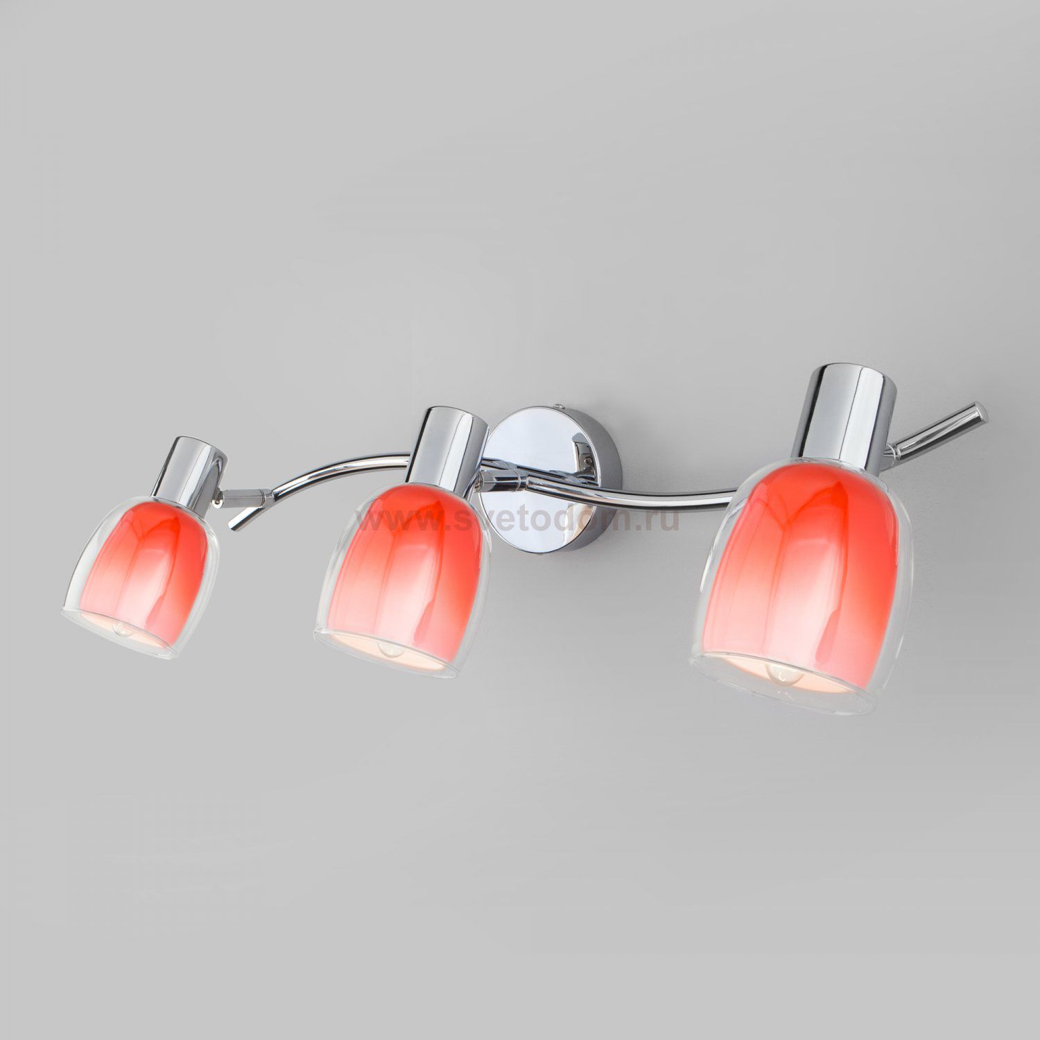 Настенный светильник Eurosvet 20119/3 Potpourri