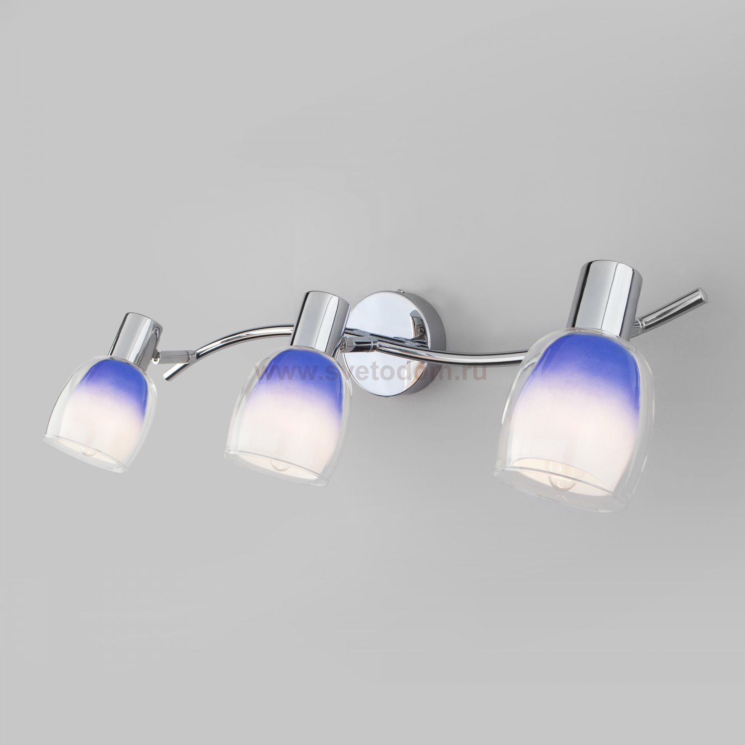 Настенный светильник Eurosvet 20119/3 Potpourri