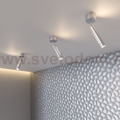 Настенно-потолочный светильник Eurosvet 20084/1 LED серебро