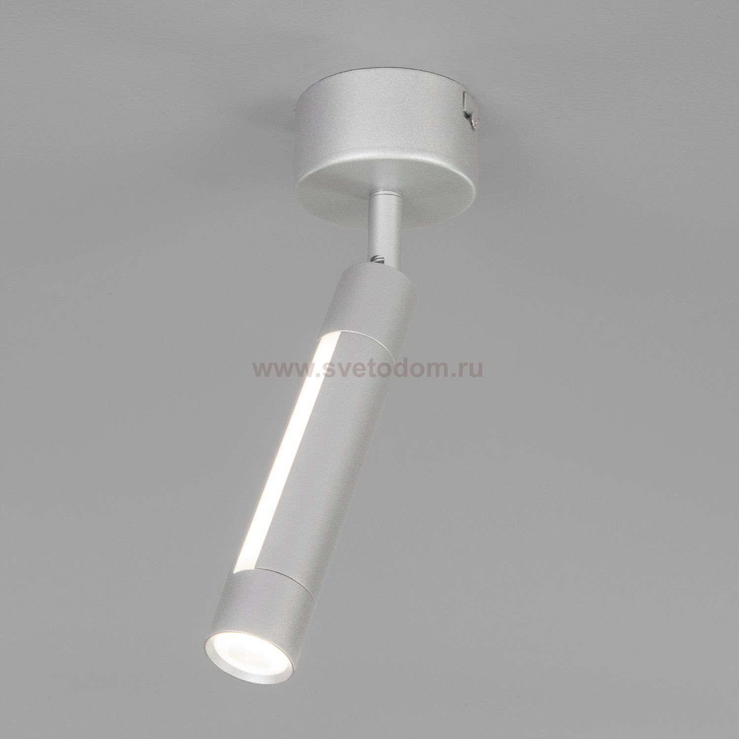 Настенно-потолочный светильник Eurosvet 20084/1 LED серебро