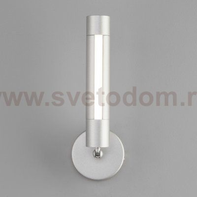 Настенно-потолочный светильник Eurosvet 20084/1 LED серебро
