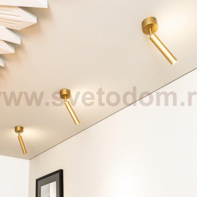 настенно-потолочный светильник Eurosvet 20084/1 LED матовое золото
