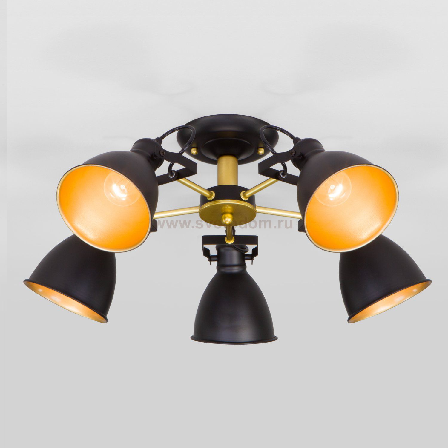 Потолочный светильник Eurosvet 70112/5 черный