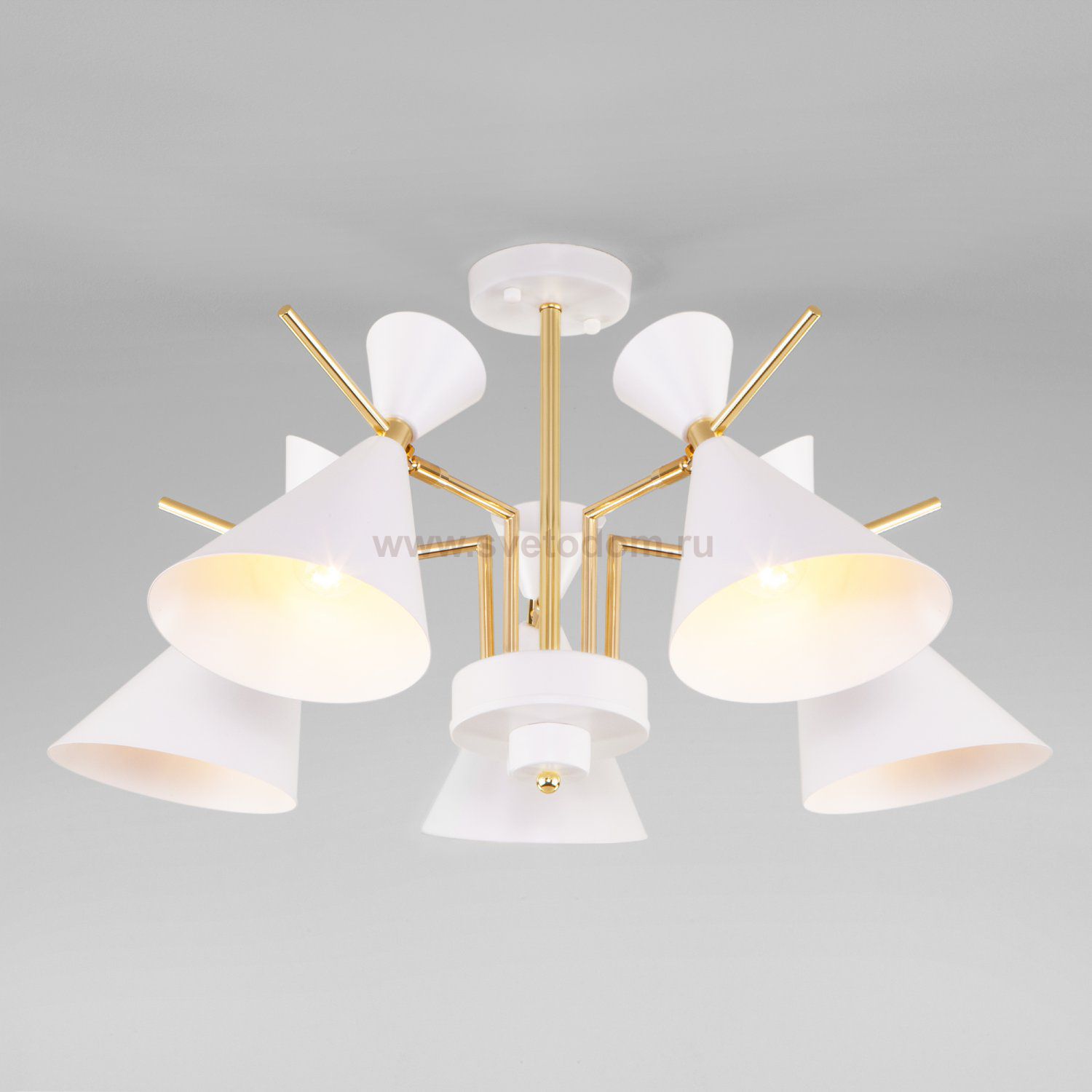 Потолочный светильник Eurosvet 70114/5 белый