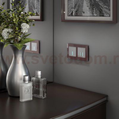 Сенсорный выключатель двухклавишный с подсветкой (серебряный) Werkel W4520106