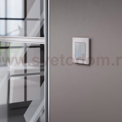 Сенсорный выключатель двухклавишный Умный дом (серебряный) Werkel W4520606