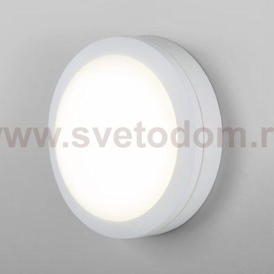 Пылевлагозащищенный светодиодный светильник 4200К LTB51 белый Elektrostandard