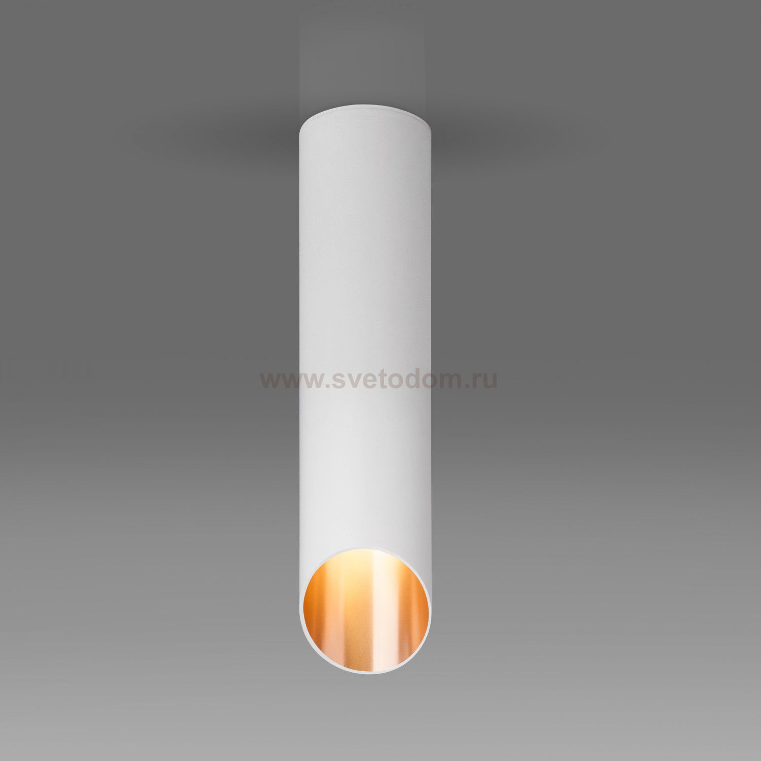 Накладной акцентный светильник DLN115 GU10 Elektrostandard