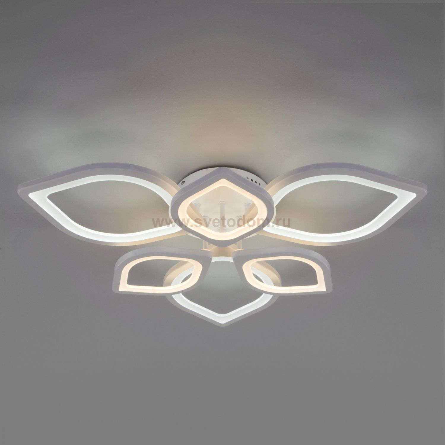 Потолочный светодиодный светильник с пультом управления Eurosvet 90228/6 белый Garden