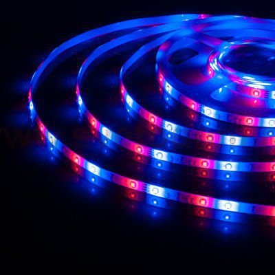 Светодиодная лента Лента светодиодная 12V 4,8W 60Led 2835 IP65 RGB, 5м Elektrostandard