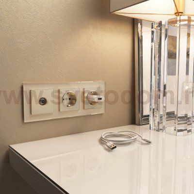 Рамка на 3 поста (шампань) W0031111 Werkel