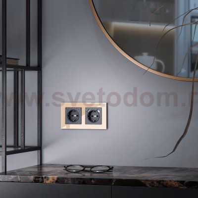 Рамка на 2 поста (шампань) W0021111 Werkel