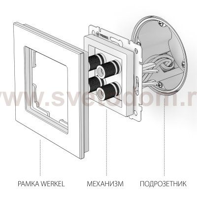 Акустическая розетка (шампань) Werkel W1185011