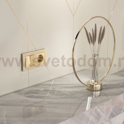 Розетка с заземлением (шампань) W1171011 Werkel