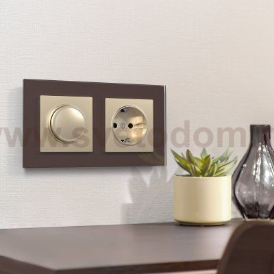 Розетка с заземлением (шампань) W1171011 Werkel