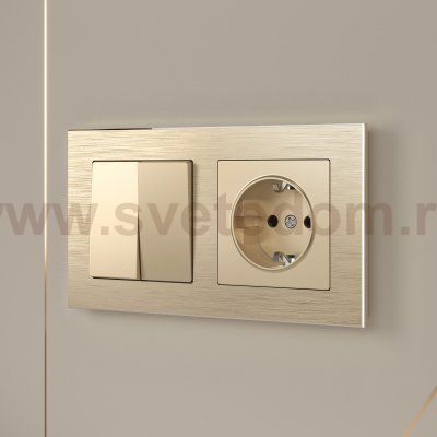 Розетка с заземлением (шампань) W1171011 Werkel