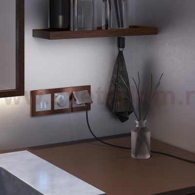 Рамка на 3 поста (коричневый алюминий) Werkel W0031714